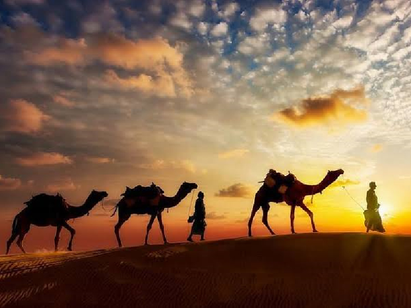 Best 03 Night 04 Days Jaisalmer Tour Package